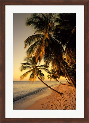 Framed Beach at Sunset, Trinidad, Caribbean Print