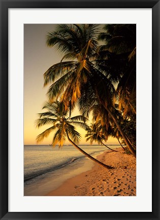 Framed Beach at Sunset, Trinidad, Caribbean Print