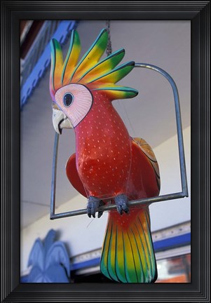 Framed Painted Tropical Bird, St Martin, Caribbean Print