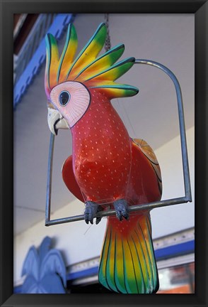 Framed Painted Tropical Bird, St Martin, Caribbean Print