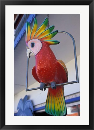 Framed Painted Tropical Bird, St Martin, Caribbean Print