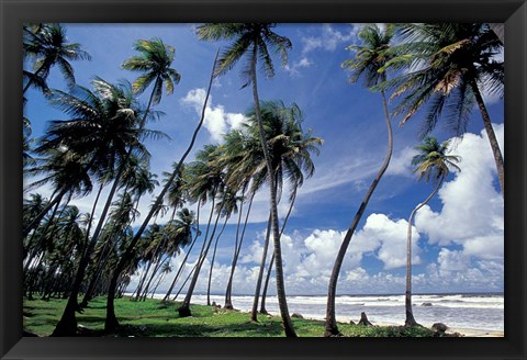 Framed View of Manzanilla Bay, Port of Spain, Trinidad, Caribbean Print