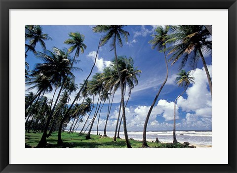 Framed View of Manzanilla Bay, Port of Spain, Trinidad, Caribbean Print