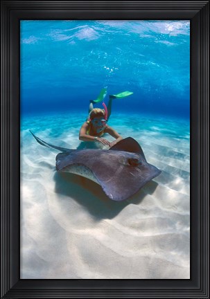 Framed Stingray City, Grand Cayman, Cayman Islands, Caribbean Print