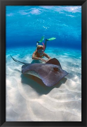 Framed Stingray City, Grand Cayman, Cayman Islands, Caribbean Print