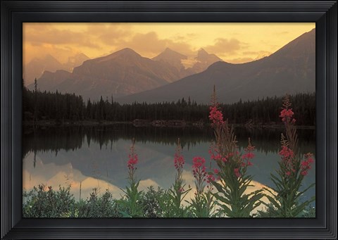 Framed Alberta, Banff, Lake Herbert, Canadian Rockies Print