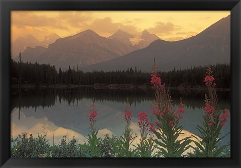 Framed Alberta, Banff, Lake Herbert, Canadian Rockies Print