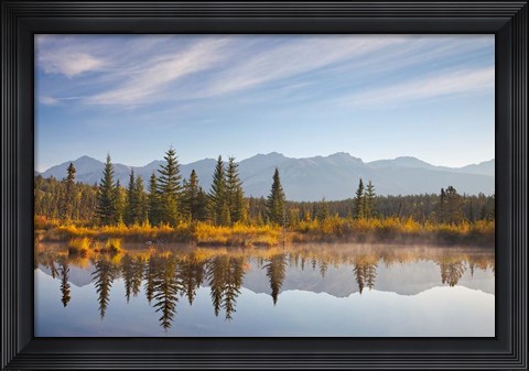 Framed Canada, Alberta, Jasper National Park Scenic of Cottonwood Slough Print