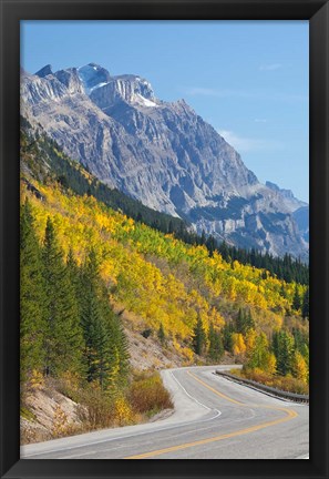 Framed Canada, Alberta, Jasper NP Scenic of The Icefields Parkway Print