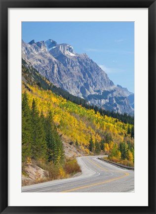 Framed Canada, Alberta, Jasper NP Scenic of The Icefields Parkway Print