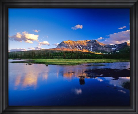 Framed Sofa Mountain Reflects in Beaver Pond, Wateron Lakes National Park, Alberta, Canada Print