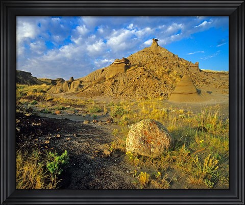 Framed Dinosaur Provincial Park in Alberta, Canada Print