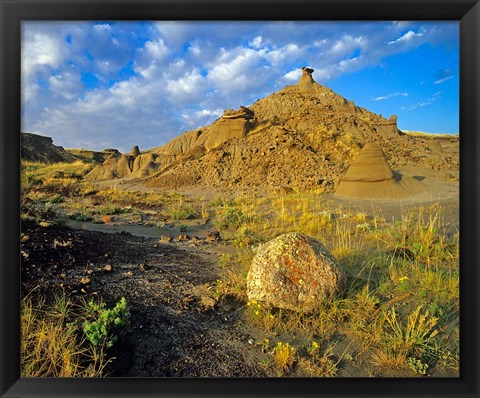 Framed Dinosaur Provincial Park in Alberta, Canada Print