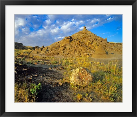 Framed Dinosaur Provincial Park in Alberta, Canada Print