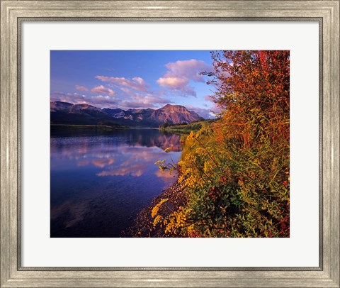 Framed Maskinonge Lake with mountains in the background, Waterton Lakes National Park, Alberta Print