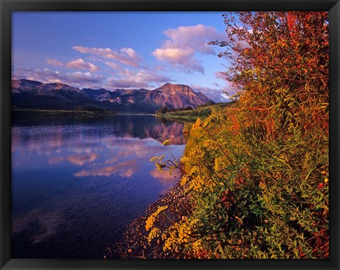 Framed Maskinonge Lake with mountains in the background, Waterton Lakes National Park, Alberta Print