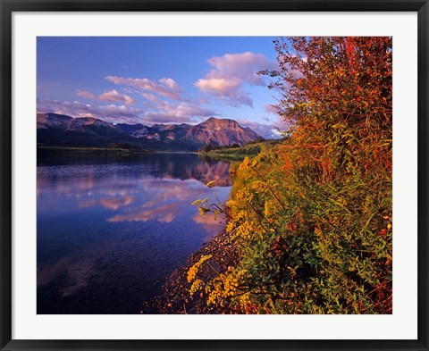 Framed Maskinonge Lake with mountains in the background, Waterton Lakes National Park, Alberta Print