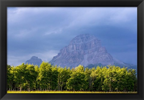 Framed Crowsnest Mountain at Crownest Pass in Alberta, Canada Print