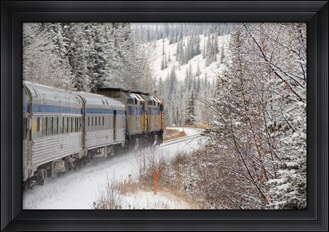 Framed Via Rail Snow Train Between Edmonton &amp; Jasper, Alberta, Canada Print