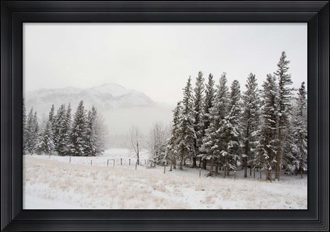 Framed Winter Views from Train, Alberta, Canada Print