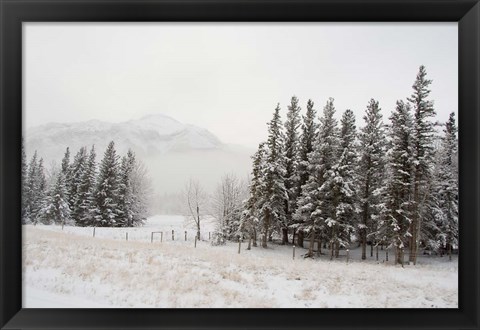 Framed Winter Views from Train, Alberta, Canada Print