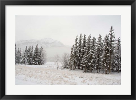 Framed Winter Views from Train, Alberta, Canada Print