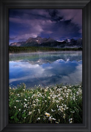 Framed Alberta, Banff National Park Lake Maligne wildflowers Print