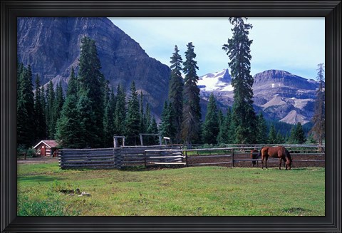 Framed Log Cabin, Horse and Corral, Banff National Park, Alberta, Canada Print