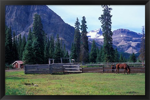 Framed Log Cabin, Horse and Corral, Banff National Park, Alberta, Canada Print