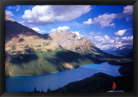 Framed Hiker Overlooking Peyto Lake, Banff National Park, Alberta, Canada Print