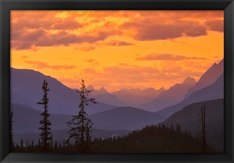 Framed Alberta, Baniff NP, Sunset on Mountain ridges Print