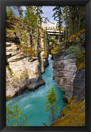 Framed Athabasca Falls, Jasper National Park, Alberta, Canada Print