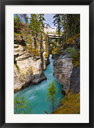 Framed Athabasca Falls, Jasper National Park, Alberta, Canada Print