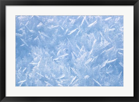 Framed Detail of Winter Snow Print