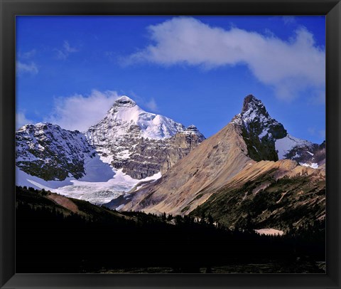 Framed Alberta, Mt Saskatchewan, Banff NP Print