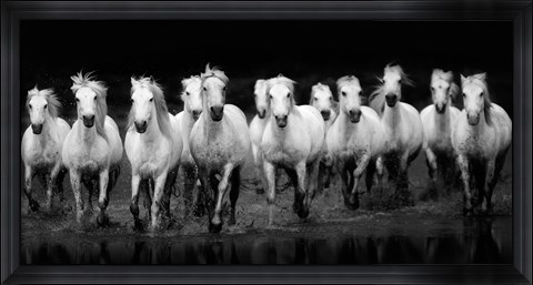 Framed In Flight - Horses Print