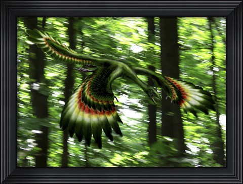 Framed Archaeopteryx flying through a forest Print