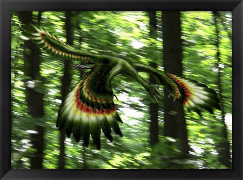 Framed Archaeopteryx flying through a forest Print