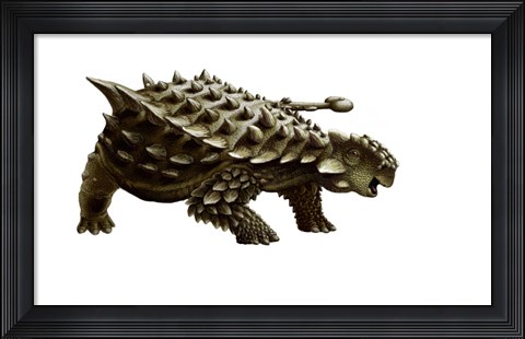 Framed armored Saichania ankylosaurid, white background Print