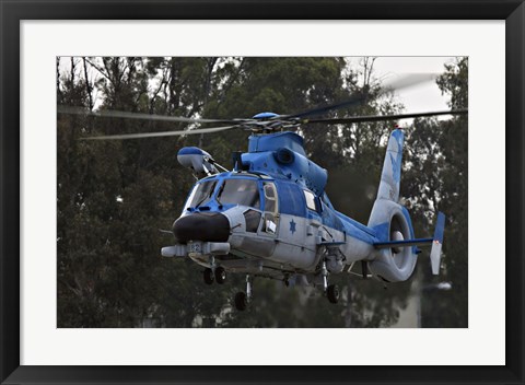 Framed AS-565 Atalef of the Israeli Air Force Print