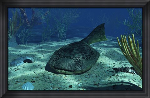 Framed Drepanaspis on the bottom of a shallow Devonian sea Print