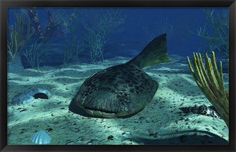Framed Drepanaspis on the bottom of a shallow Devonian sea Print