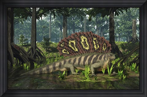 Framed Edaphosaurus forages in a brackish mangrove like swamp Print