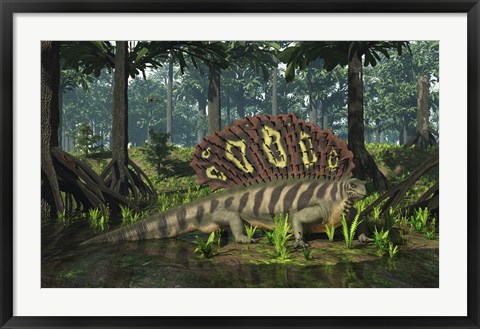 Framed Edaphosaurus forages in a brackish mangrove like swamp Print