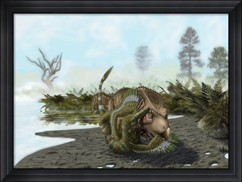 Framed Velociraptor is attacking a Protoceratops Print