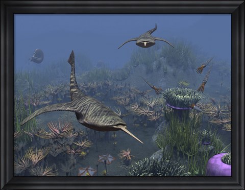 Framed Doryaspis swim amongst a bed of Anthozoa Print