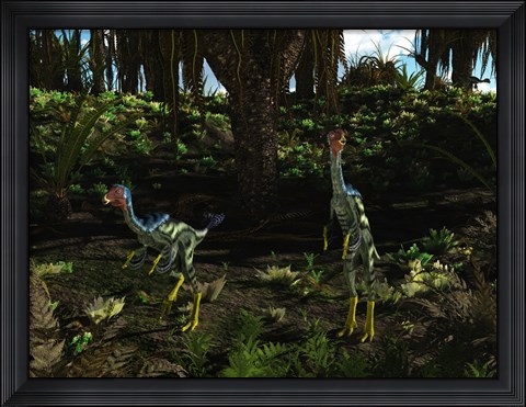 Framed Caudipteryx wander a prehistoric landscape Print