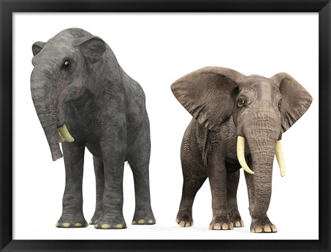 Framed adult Deinotherium compared to a modern adult African Elephant Print