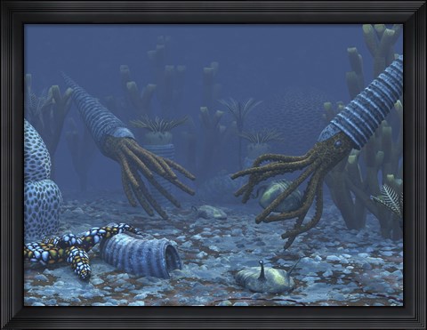 Framed Squid-like Orthoceratites attempt to make meals of trilobites Print