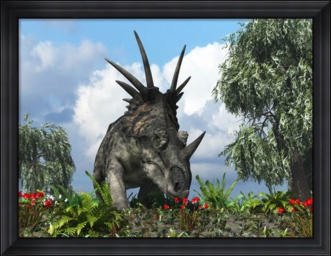 Framed Styracosaurus samples flowers of the order Ericales Print
